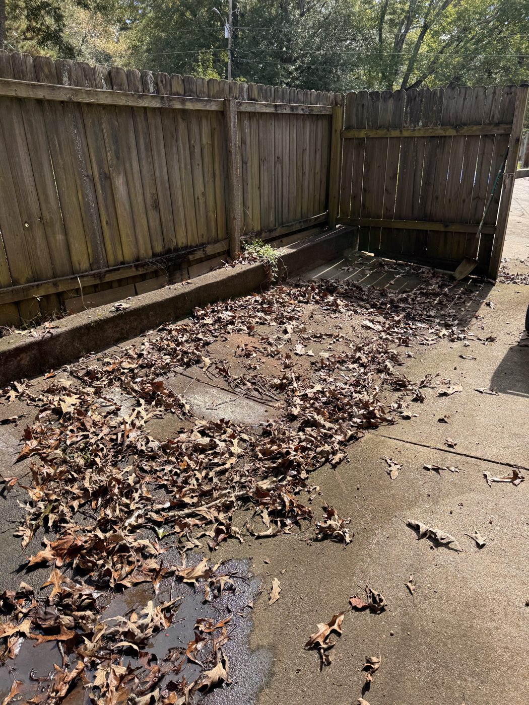 After junk removal in Sugar Hill, GA: yard cleanout finished